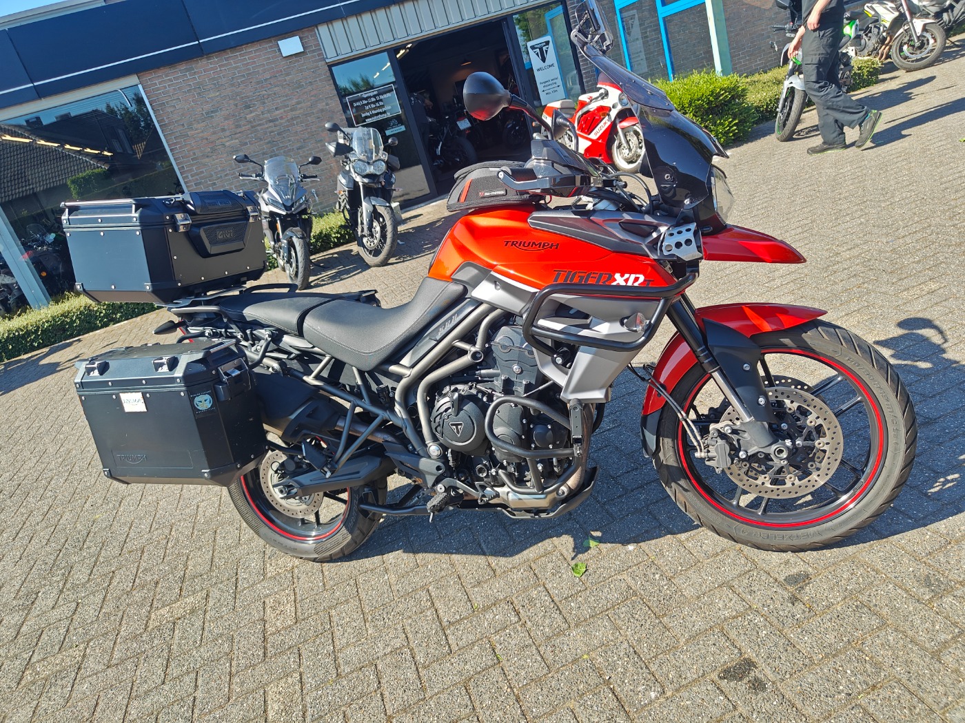 Tiger 800 XRT
